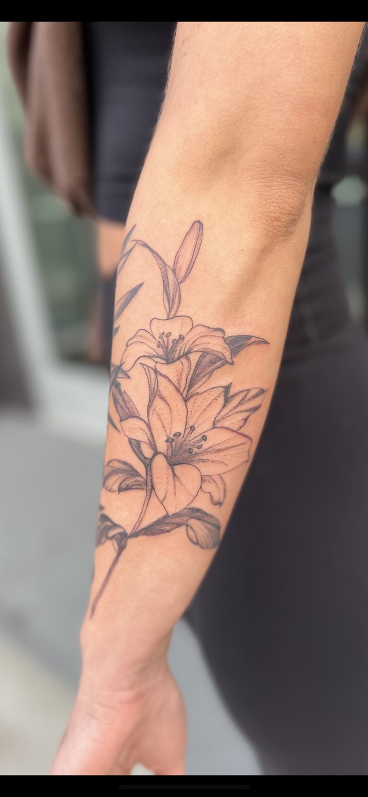 Fine line lilies on the inner forearm